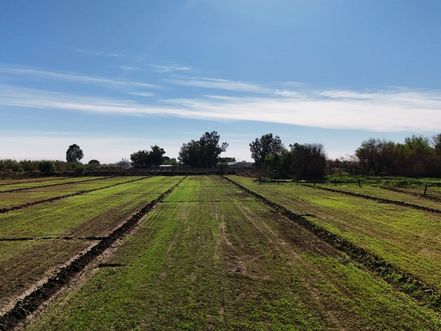 Commercial Property for Sale in Keimoes Rural Northern Cape